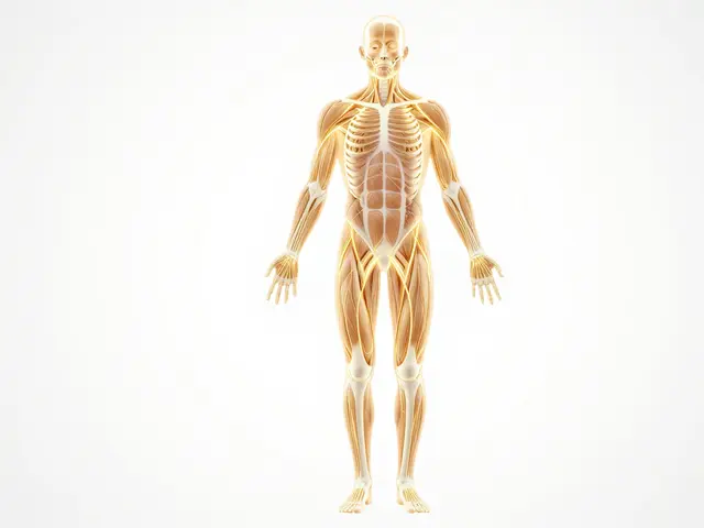 Myofascial Release Therapy: How It Relieves Pain and Restores Mobility
